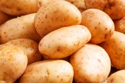 Fresh potatoes in an old wooden table, selective focus