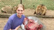 Fütterungszeit in Moholoholo. In einer Rettungsstation für wilde Tiere lernt Nina Löwe Nduna und Löwin Nandi kennen.