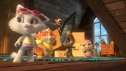 Oma Pina bittet die Buffycats, den Dachboden aufzuräumen. Ob das gut geht?
