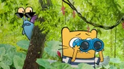 Schnecke Stanley und Ollie sind auf der Pirsch.