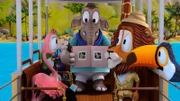 Frau Emily (Elefant) zeigt den anderen Tieren ihr Album mit Möwenbildern.