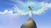 Krickrack hat Spaß daran, den Weißen Raben zu spielen. Krickrack hat Spaß daran, den Weißen Raben zu spielen.