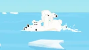 Der Schneehase Siggy wäre sehr gerne ein Eisbär wie Grumpel – aber dafür müsste er auf jeden Fall zuerst einmal schwimmen lernen.