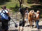 Auf dem Reiterhof im Kleinen Wiesental wird therapeutisches Reiten angeboten.