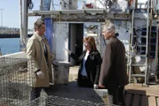 Ermitteln in einem neuen Mordfall: Tony (Michael Weatherly, l.), Gibbs (Mark Harmon, r.) und Special Agent Abigail Borin (Diane Neal, M.) ...