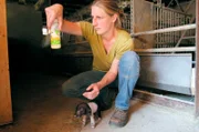 Nina Kill bei der Fütterung eines Schweinchens.