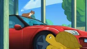 Marder Kevin hat sich in ein Auto verliebt, doch Schildkröte Törtel weiß: Das wird der Besitzerin so gar nicht gefallen.