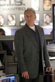 Ein neuer Fall beschäftigt Gibbs (Mark Harmon) und sein Team ...