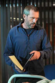Hugh Laurie (Dr. Gregory House).