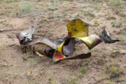 The twisted remains of a metal barrel after being struck by a six-pound cannon.