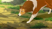 Lassie hat die Spur des angeblichen Seeungeheuers aufgenommen.