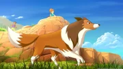 Lassie wittert Gefahr.