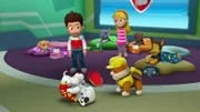 L-R: Skye, Ryder, Marshall, Rocky, Rubble, Katie, Zuma, Chase
