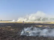 Ein Bauer in Punjab brennt die Erntereste auf seinen Feldern ab.