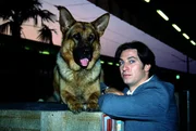 Kommissar Moser (Tobias Moretti) und Rex observieren am S&uuml;dbahnhof einen mutma&szlig;lichen M&ouml;rder ...