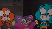 v.li.: Darwin, Fuzzy, Gumball