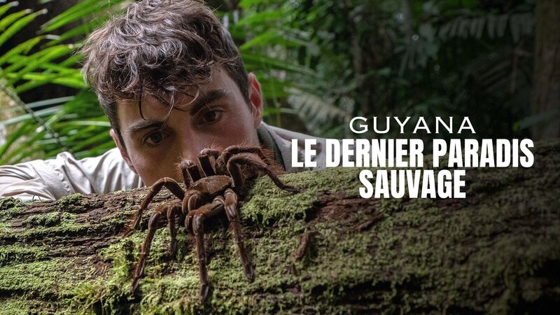 Guyana - Der letzte Garten Eden (GB, 2021)