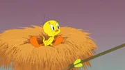 Tweety