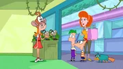 "Disneys Phineas und Ferb", "Phineas, Ferb und Sensationen / Die Spielzeugerfinder." Phineas und Ferb erfinden ein Holzspielzeug in der Form eines Schnabeltieres. Aufgrund reger Nachfrage, erweist es sich als wahrer Verkaufsschlager. Superagent Perry, das echte Schnabeltier, ist indes klarerweise besch&auml;ftigt, die skrupellosen Pl&auml;ne von Dr. Doofenschmirtz zu durchkreuzen.