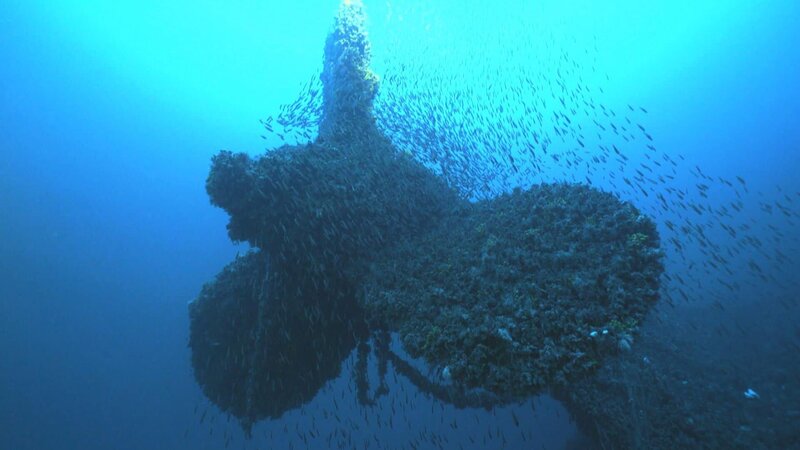Die Schwester der Titanic (GB, 2016)