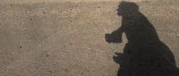 Schatten von Aziz