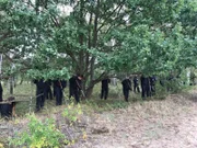 Scene from the documentary Neue Polizisten braucht das Land