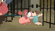 v.li.: Polly, Barkley