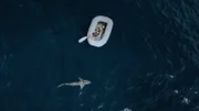Hazen Audel paddelt auf einem Floß, während ein Hai in der Nähe schwimmt.