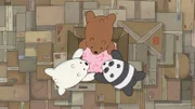 L-R: Ice Bear, Panda Bear, Grizzly Bear