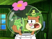 v.li.: Flying Dutchman, Sandy
