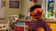 Ernie hat einen Hund mitgebracht.