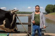 Zum Übersetzen der Fähre braucht es vor allem viel Kraft. Mindestens vier Personen am Schaufelrad. Je nach Laune der Donau, müssen sie bis zu 8 Mal im Jahr die Tiere von der Insel holen und wieder zurückbringen. Da muss die ganze Familie mit anpacken.