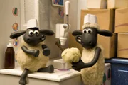 Als Shauns Eis-Assistent macht sich der kleine Timmy bestens.