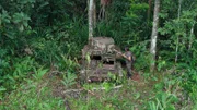Hazen Audel entdeckt einen alten Panzer im Dschungel. (National Geographic/Icon Films/Alex Holden)
