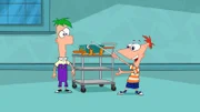 Candace hat einen Job in einem Spielzeugladen gefunden. Ihre Brüder inspiriert das, selber ein Spielzeug zu erfinden.