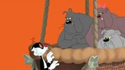 Sylvester (l.)