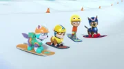 L-R: Everest, Rubble, Alex Porter, Chase
