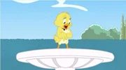 Quacker