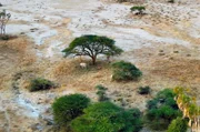 Kenia – das Land im Osten Afrikas fasziniert mit seinen Gegensätzen. Die Savanne ist nur eine von Kenias vielfältigen Landschaften.