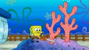 SpongeBob