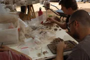 Archaeologists examine the skeleton of a child discovered in a cave in Morocco.