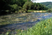 Die Donau bei Kloster Beuron. : Honorarfrei lediglich fuer Ankuendigungen und Veroeffentlichungen im Zusammenhang mit obiger BR-Sendung bei Nennung: Bild: BR . Andere Verwendungen nur nach entsprechender vorheriger schriftlicher Vereinbarung mit dem BR-Bildarchiv, Tel. 089 / 5900 3040, Fax 089 / 5900 3284.