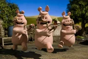 Attacke! Die Schweine sind wieder gar nicht gut auf Shaun zu sprechen.