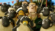 (Manchmal) ein Herz und eine Seele: Der Farmer und seine Tiere.