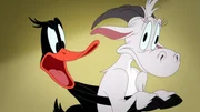 Daffy Duck (l.)