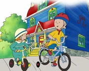 Caillou und Rosie machen eine Radtour. Noch stört es Caillou überhaupt nicht, dass er noch Stützräder an seinem Fahrrad hat...