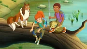 15 Lassie - Der Ausreißer 1