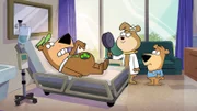 v.li.: Yogi Bear, Cindy Bear, Boo-Boo Bear