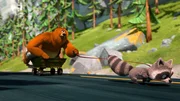 v.li.: Grizzy, Waschbär