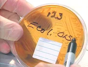 Die Obduktion zeigt, dass die 16 Monate alte Anna an einem mit Coli-Bakterien verseuchten Apfelsaft starb. Die Obduktion zeigt, dass die 16 Monate alte Anna an einem mit Coli-Bakterien verseuchten Apfelsaft starb.